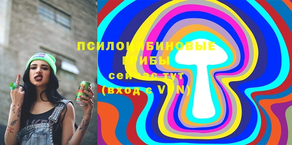 шишки Лихославль