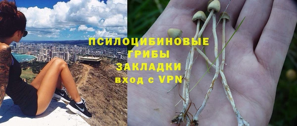 крисы Магадан
